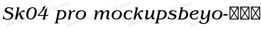 Sk04 pro mockupsbeyo字体转换